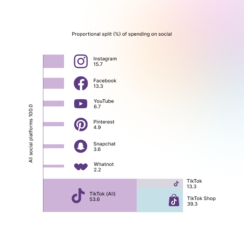 Proportional split (%) of spending on social
