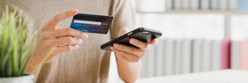 Online payment retail economics
